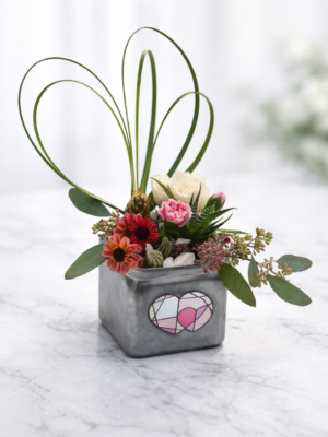 "Love in Bloom" Valentine’s Day Succulent Arrangement