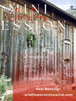 Christmas on the Farm - Mini Photoshoot Session