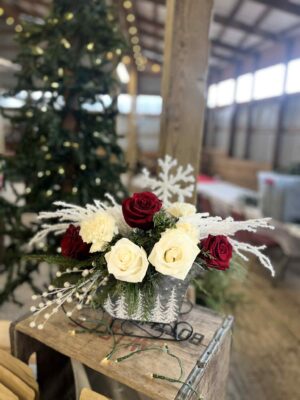 Frosted Evergreen Sleigh Arrangement