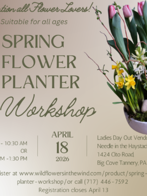 Spring Flower Planter Workshop