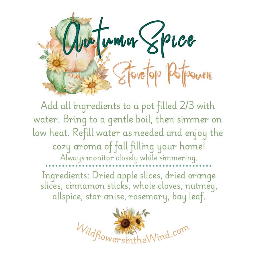 Autumn Spice Fall Simmer Pot Mix | Fall Stovetop Potpourri - Image 3