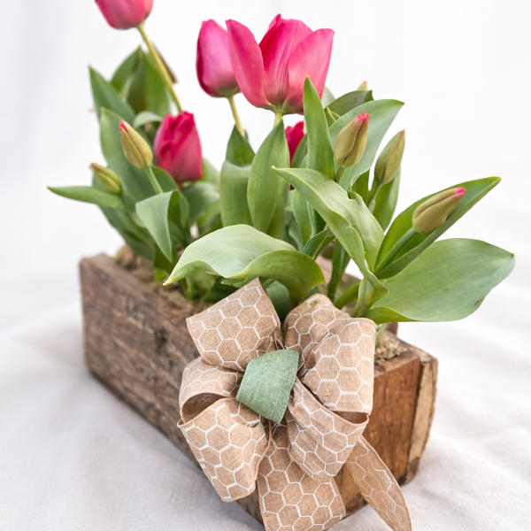 427e4887-79b6-4136-8f53-062e44b0940f