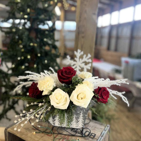 d8699582-c9ad-4c96-8b2a-f15447f5d7c1