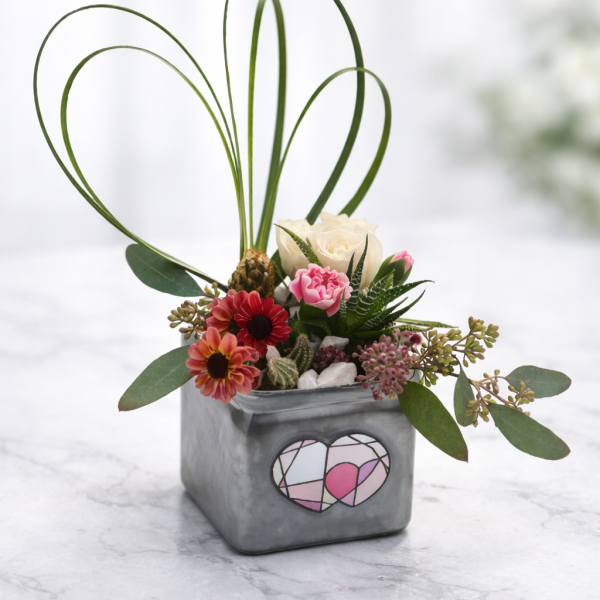 Succulents and flowers